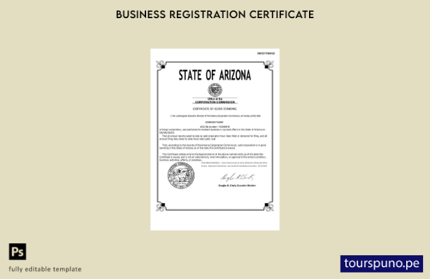 listo para imprimir Certificado de buena reputación de Arizona de EE. UU. Planti